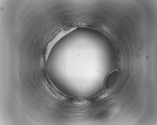 X0000054470459200508191732