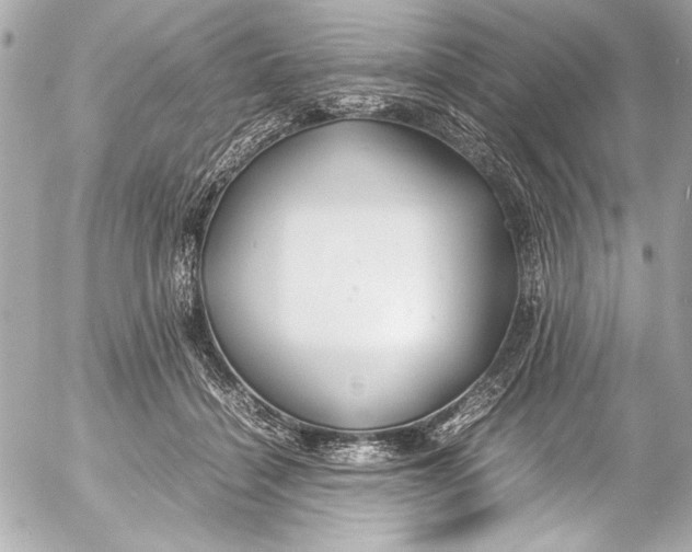 X0000054470460200508191732