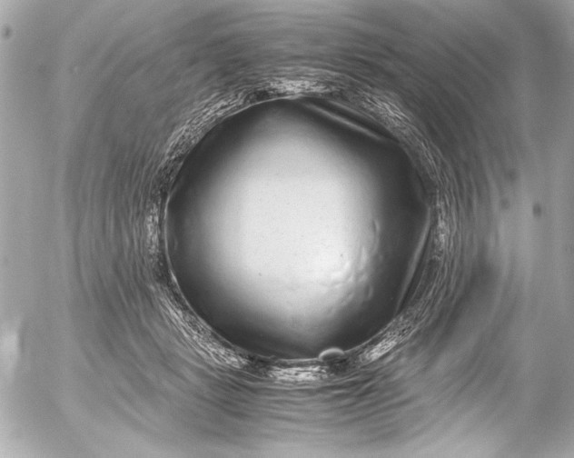 X0000054470461200508191732