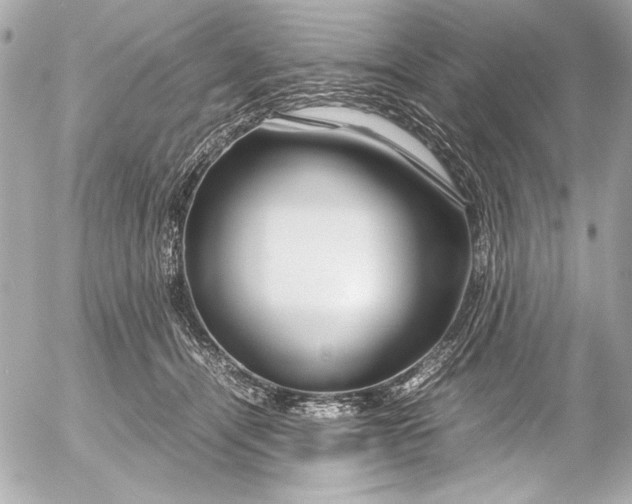 X0000054470464200508191732