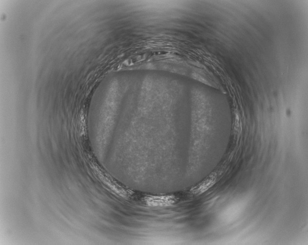 X0000054470465200508191732