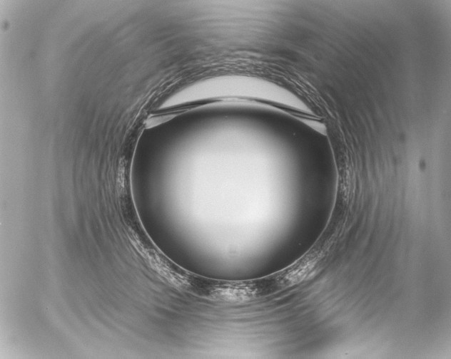 X0000054470466200508191732