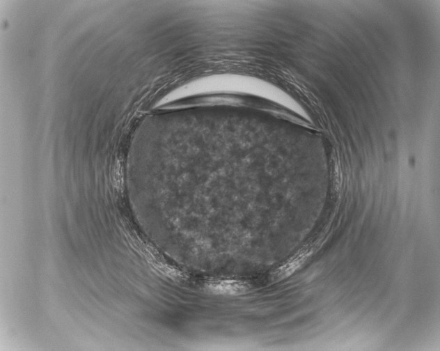 X0000054470467200508191732