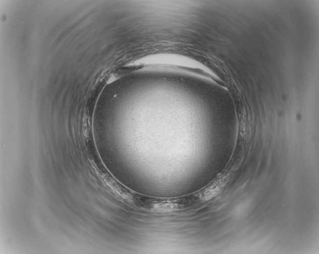 X0000054470470200508191732