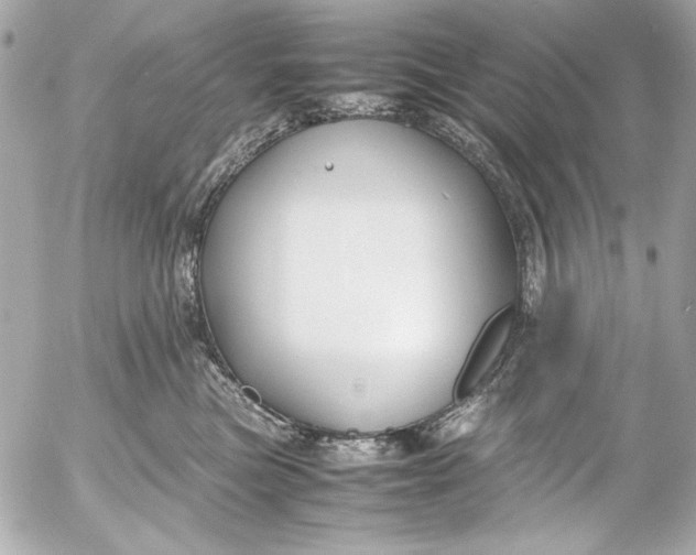 X0000054470473200508191732