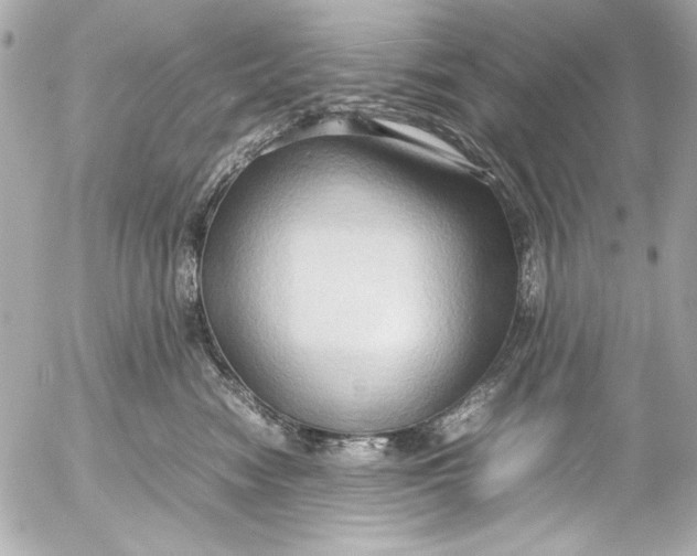 X0000054470474200508191732