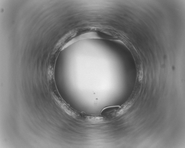 X0000054470476200508191732