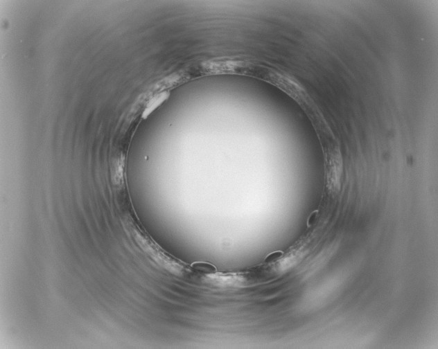 X0000054470477200508191732