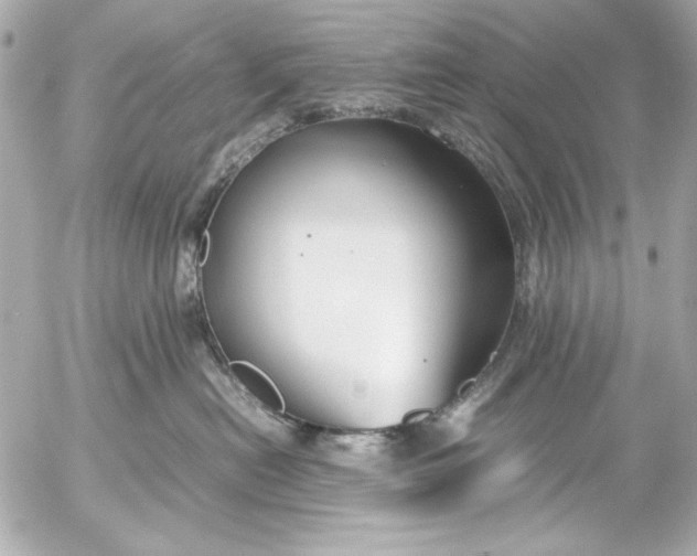 X0000054470478200508191732