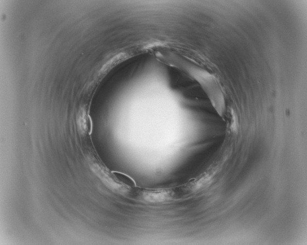 X0000054470479200508191733