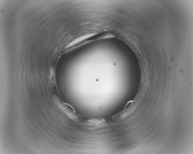 X0000054470480200508191733