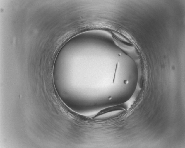 X0000054470481200508191732