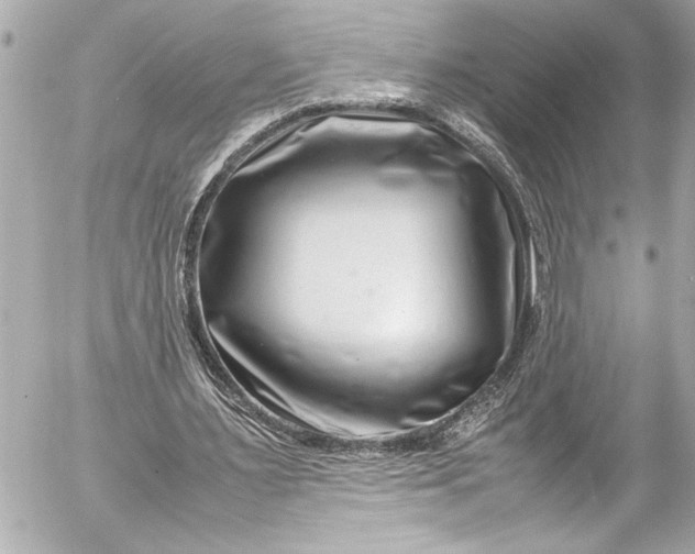 X0000054470483200508191732