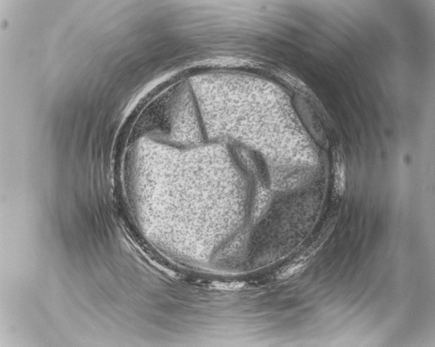 X0000054470484200508191732