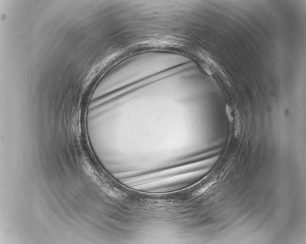 X0000054470486200508191732