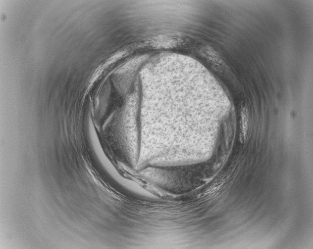 X0000054470492200508191732