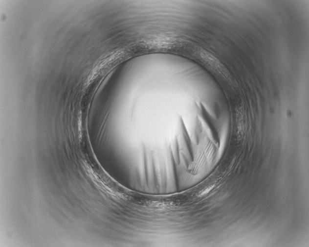 X0000054470494200508191732