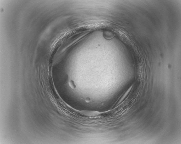 X0000054470495200508191732