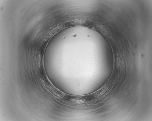 X0000054470498200508191731