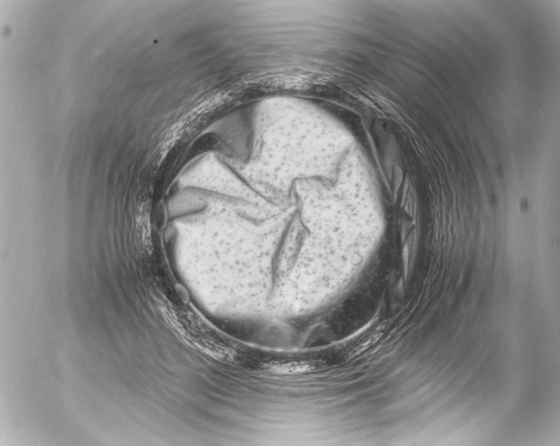 X0000054470500200508191731