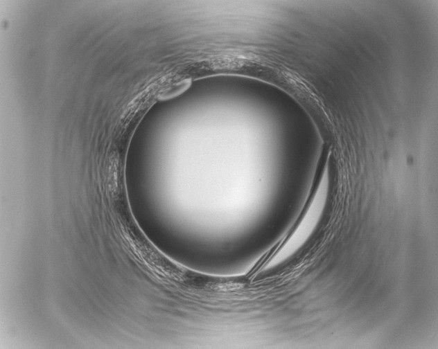 X0000054470501200508191731