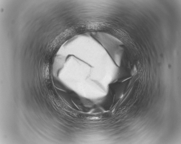 X0000054470502200508191731