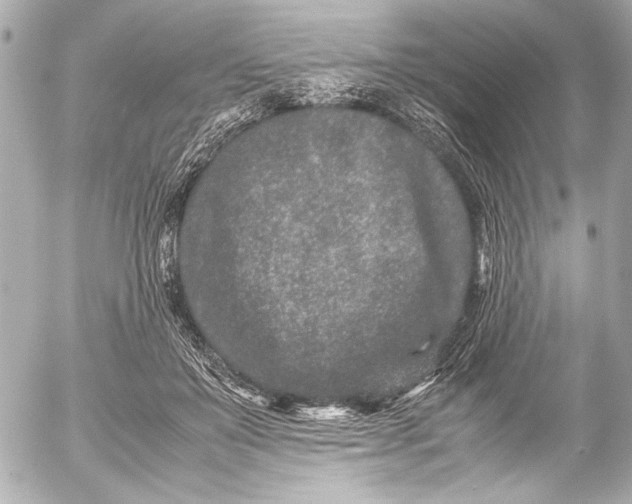 X0000054470503200508191731