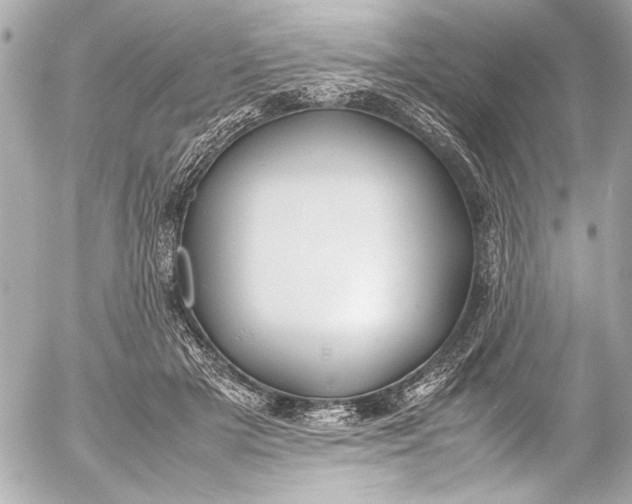 X0000054470505200508191731