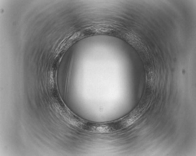 X0000054470506200508191731