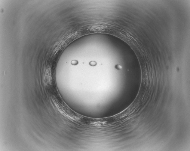 X0000054470508200508191731