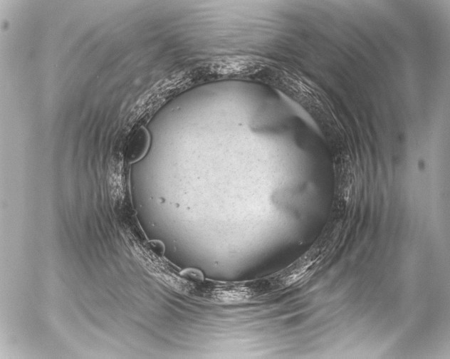 X0000054470510200508191731