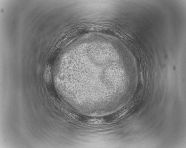 X0000054470511200508191731