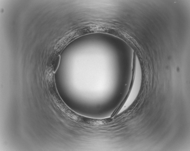 X0000054470513200508191731