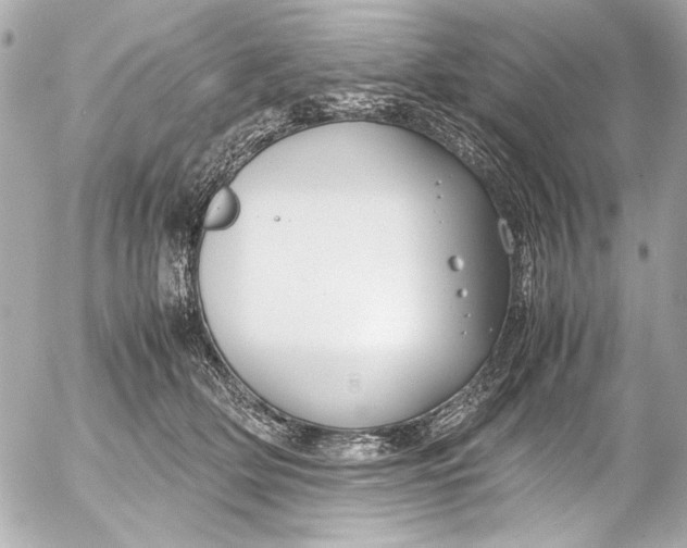 X0000054470514200508191731