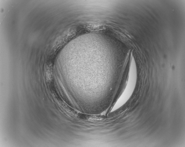 X0000054470515200508191731