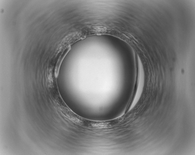 X0000054470516200508191731