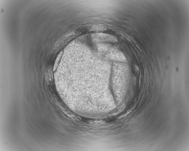 X0000054470517200508191731