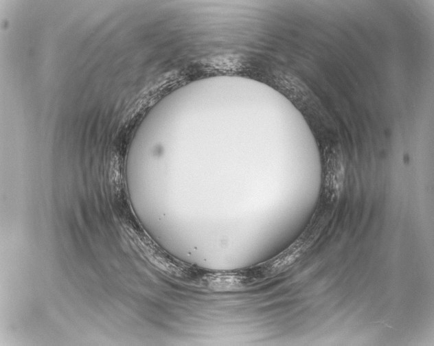 X0000054470518200508191731