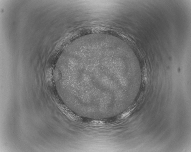 X0000054470519200508191731