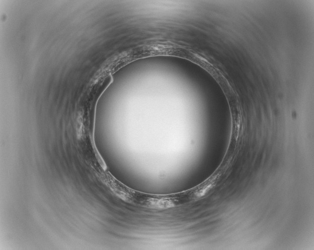 X0000054470520200508191731