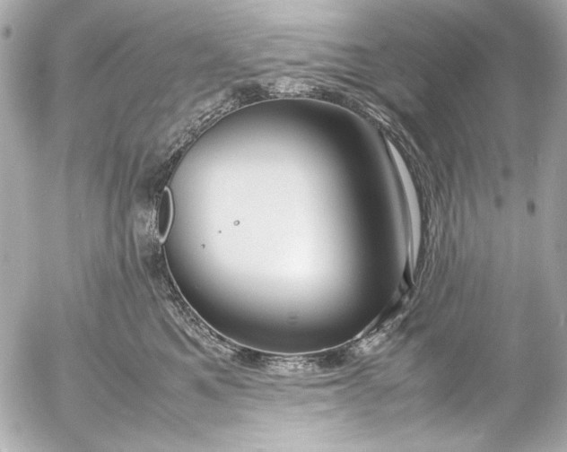 X0000054470521200508191731