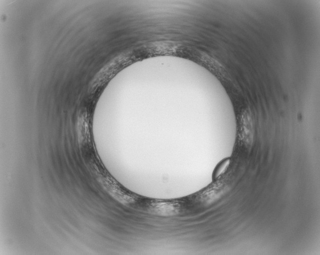 X0000054470522200508191731