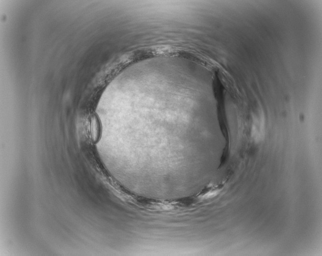 X0000054470523200508191731