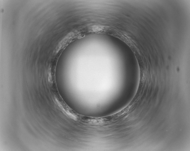 X0000054470524200508191731