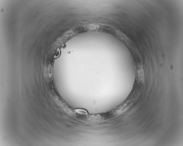 X0000054470525200508191731