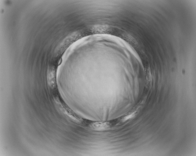 X0000054470526200508191731