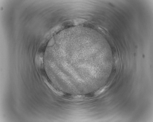 X0000054470527200508191731