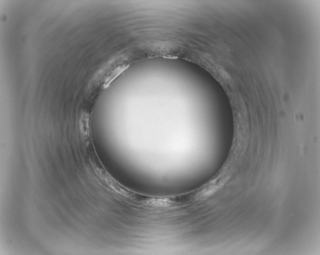 X0000054470528200508191731