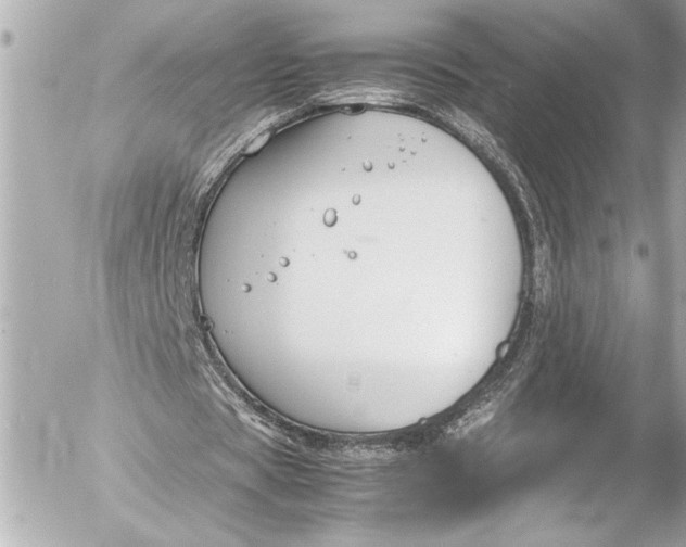 X0000054470529200508191730