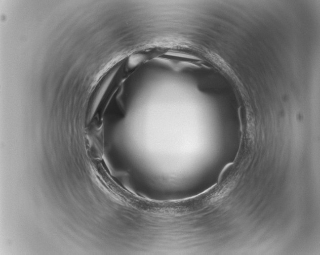 X0000054470530200508191730